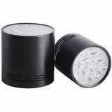 High-Power LED Downlight 36W 30W Dimmable 110V 220V Surface Mounted Ceiling Light 14W 24W Spot Lamp 18W For Indoor Lighting