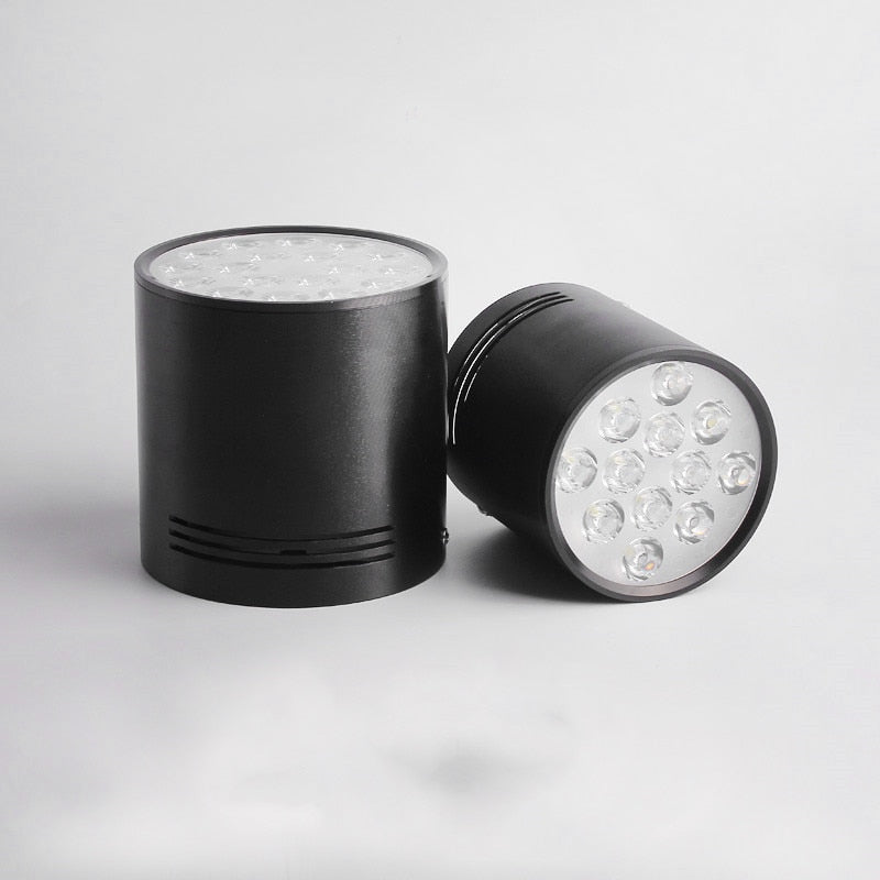 High-Power LED Downlight 36W 30W Dimmable 110V 220V Surface Mounted Ceiling Light 14W 24W Spot Lamp 18W For Indoor Lighting