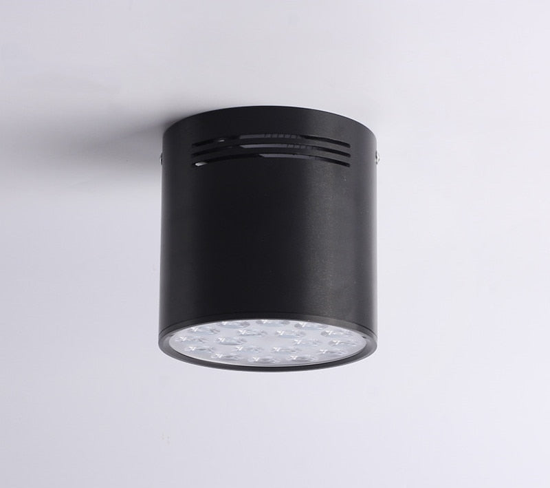 High-Power LED Downlight 36W 30W Dimmable 110V 220V Surface Mounted Ceiling Light 14W 24W Spot Lamp 18W For Indoor Lighting