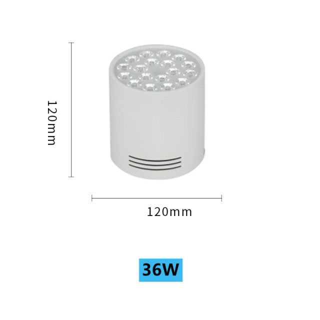 High-Power LED Downlight 36W 30W Dimmable 110V 220V Surface Mounted Ceiling Light 14W 24W Spot Lamp 18W For Indoor Lighting