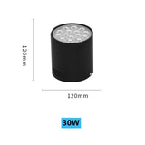 High-Power LED Downlight 36W 30W Dimmable 110V 220V Surface Mounted Ceiling Light 14W 24W Spot Lamp 18W For Indoor Lighting