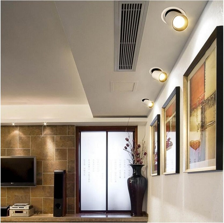 Retractable Rotating Dimmable Recessed COB LED Downlights 9W 12W 15W 24W 30W AC85-265V LED Ceiling Spot Lights Indoor Lighting