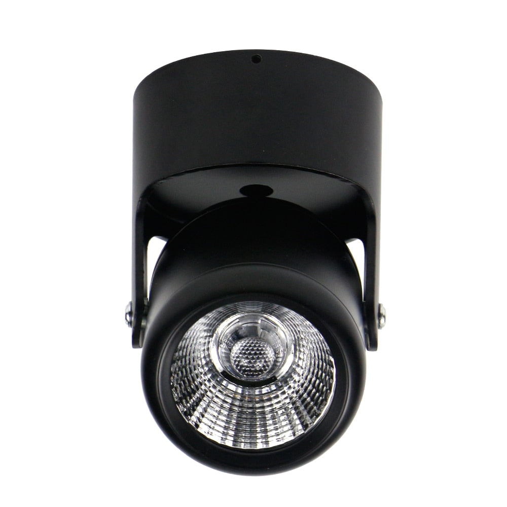 DBF LED Surface Mounted Downlight Dimmable 7W 10W 15W 20W LED Ceiling Spot Light AC90-265V for Living room Bedroom Kitchen