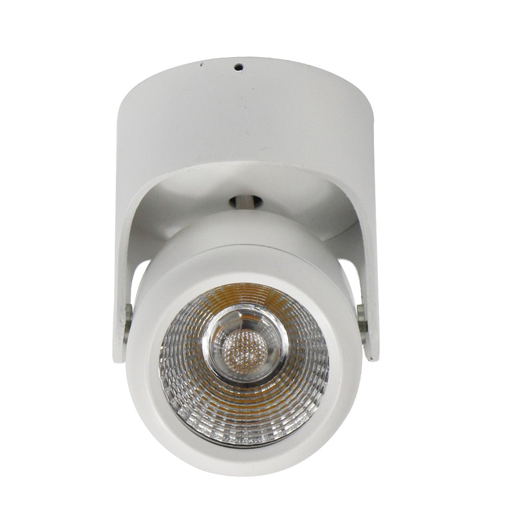 DBF LED Surface Mounted Downlight Dimmable 7W 10W 15W 20W LED Ceiling Spot Light AC90-265V for Living room Bedroom Kitchen