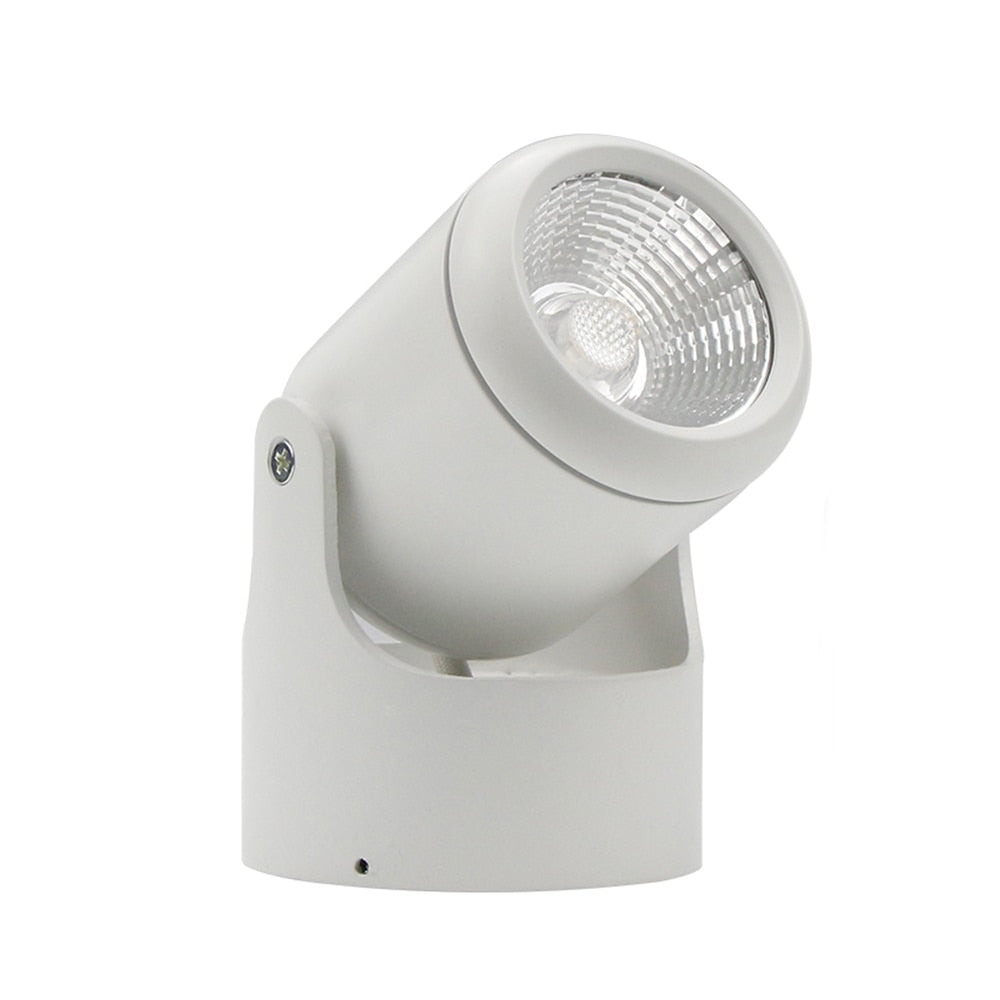 DBF LED Surface Mounted Downlight Dimmable 7W 10W 15W 20W LED Ceiling Spot Light AC90-265V for Living room Bedroom Kitchen