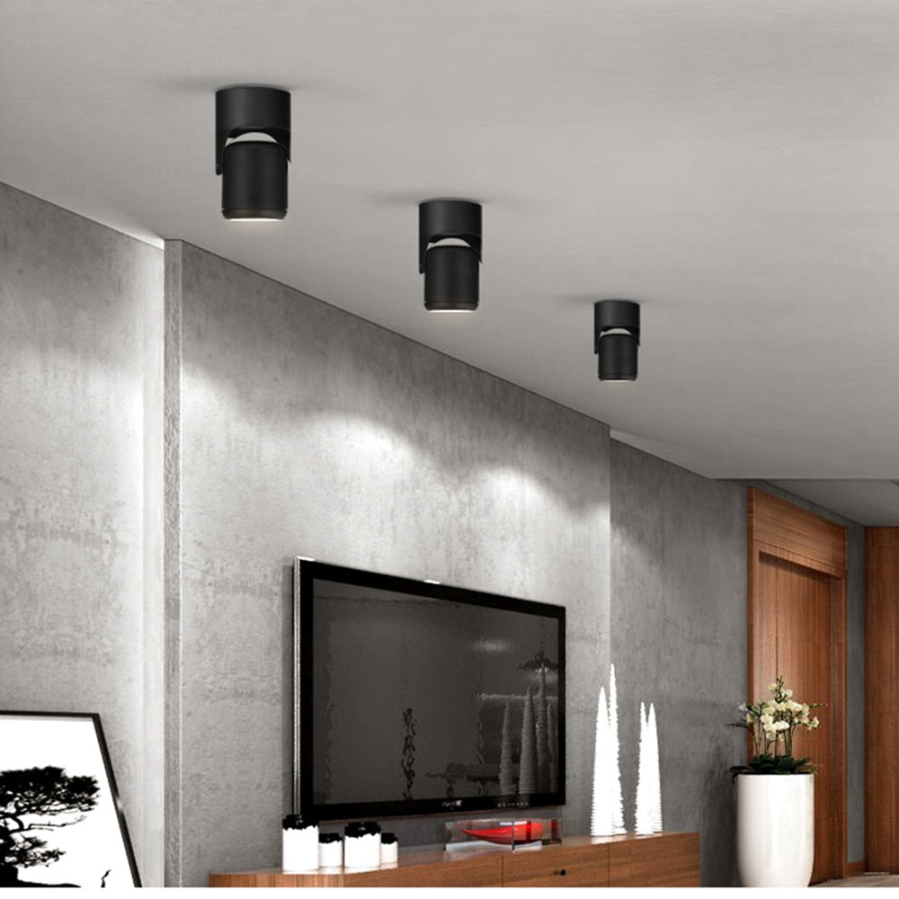 DBF LED Surface Mounted Downlight Dimmable 7W 10W 15W 20W LED Ceiling Spot Light AC90-265V for Living room Bedroom Kitchen