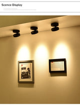 Led Downlights Surface Mounted Ceiling Lamp Spot Led Lamp Lighting Angle Adjustable 3W 5W 7W AC220V For Living Room Bedroom