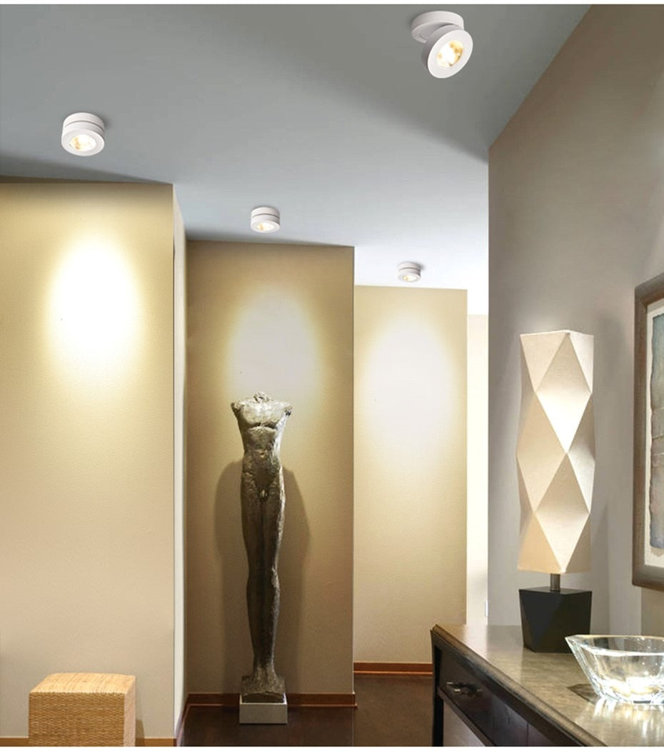 Led Downlights Surface Mounted Ceiling Lamp Spot Led Lamp Lighting Angle Adjustable 3W 5W 7W AC220V For Living Room Bedroom