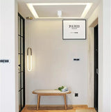 High quality Surface Mounted adjustment LED COB Dimmable Downlights Ceiling AC90-260V 10W 20W LED Ceiling Lamp Spot