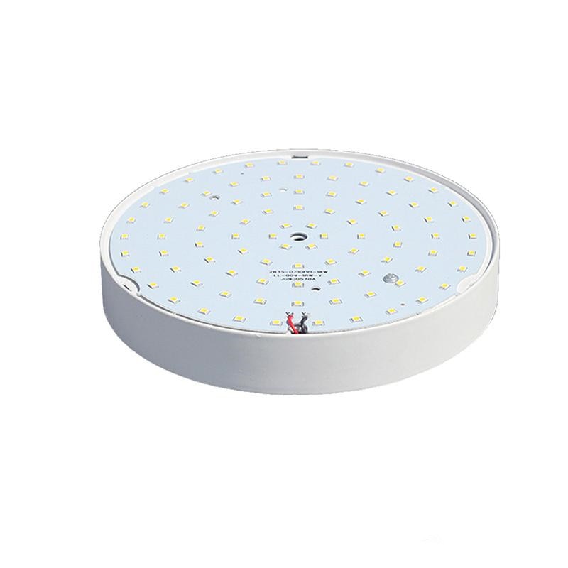 New Surface mounted 6w 12w 18w 24w AC85-265V led downlight panel light 2835SMD Ceiling hallway Down lamp