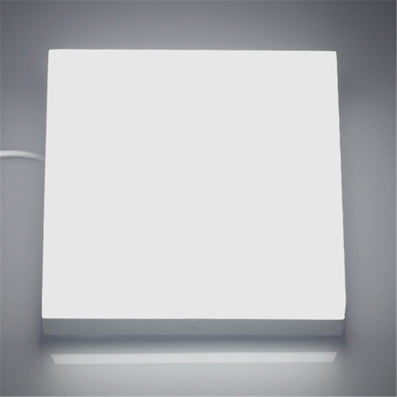 New Surface mounted 6w 12w 18w 24w AC85-265V led downlight panel light 2835SMD Ceiling hallway Down lamp