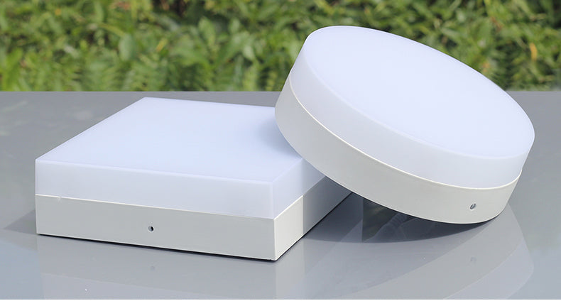 New Surface mounted 6w 12w 18w 24w AC85-265V led downlight panel light 2835SMD Ceiling hallway Down lamp