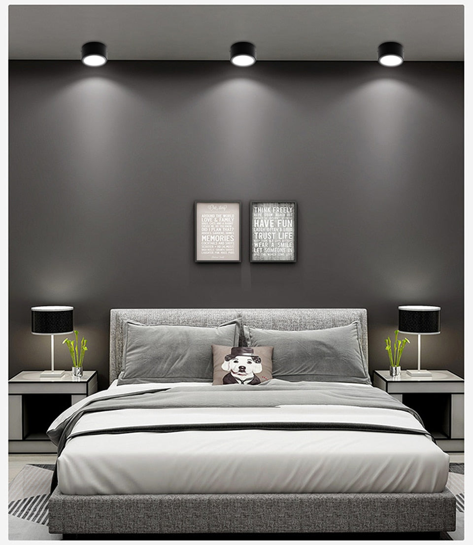 Surface Mounted LED Downlight 10W 15W LED Ceiling Lamps COB Spot Light AC85-265V Needs Driver Indoor Home Decoration Lighting