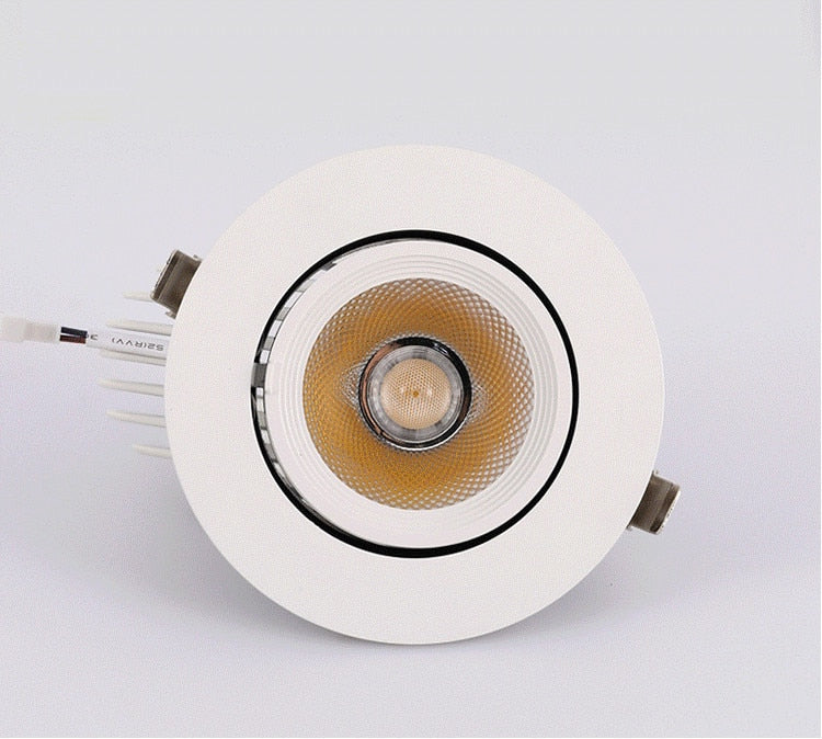 High Power Dimmable LED Downlight 10W 15W 20W 30W Adjustable 360 COB Ceiling Elephant Trunk Downlight AC85-265v Home Lighting