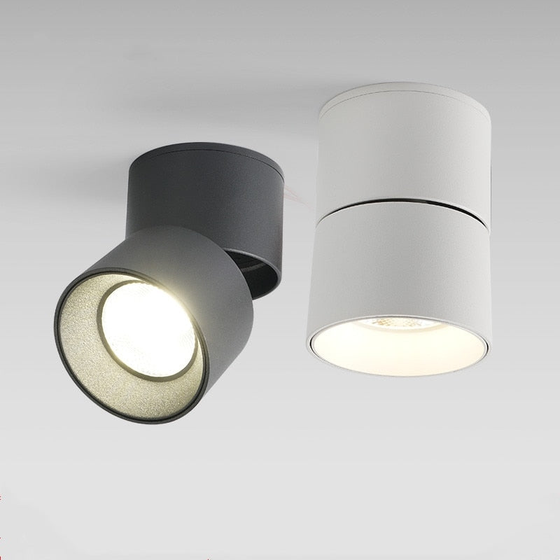 Surface Mounted LED COB Downlight 7W/12W/15W/20W/30W Rotating LED Spot Light Ceiling Lamp with LED Driver AC110V/220V