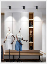 Surface Mounted LED COB Downlight 7W/12W/15W/20W/30W Rotating LED Spot Light Ceiling Lamp with LED Driver AC110V/220V