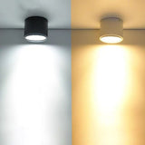 Led Downlight Lamp Round Spot Lamp Verstelbare Hoek Plafond Plafond Plafond Shop Commercial Aisle Corridor Angle Round Downlight