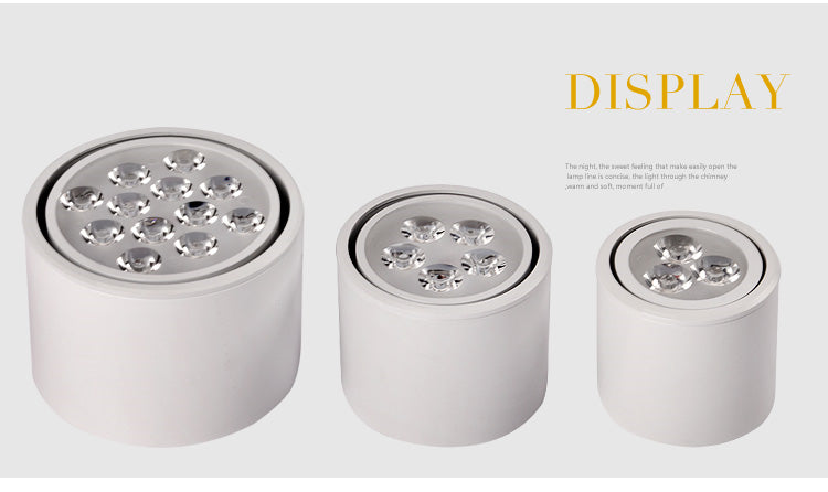 Led Downlight Lamp Round Spot Lamp Verstelbare Hoek Plafond Plafond Plafond Shop Commercial Aisle Corridor Angle Round Downlight