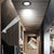 LED Downlight White Ceiling Lamp 5W 9W 12W 21W AC 220V led downlight Cold Warm white led light for Bedroom