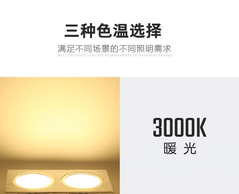 LED Downlight Ceiling Grille Lamp Rectangular Spotlight Recessed Ceiling Double Daring Lamp Aluminum Light  AC 220V