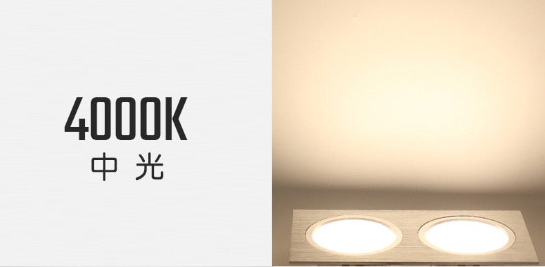 LED Downlight Ceiling Grille Lamp Rectangular Spotlight Recessed Ceiling Double Daring Lamp Aluminum Light  AC 220V