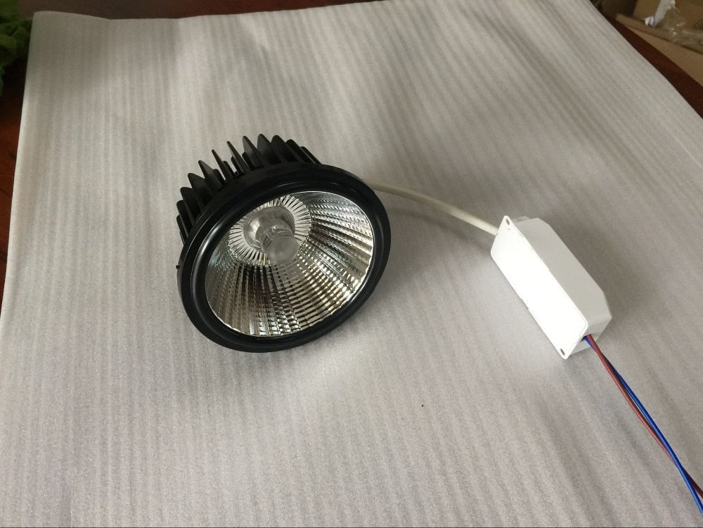 LED Spotlight Warm Cool White 20pcs 30W 25D LED Downlight AR111 LED Light for Ceiling Lamps AC85-265V