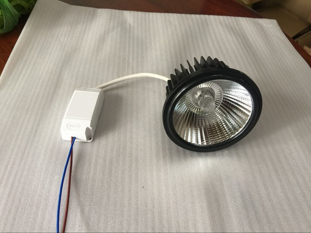 LED Spotlight Warm Cool White 20pcs 30W 25D LED Downlight AR111 LED Light for Ceiling Lamps AC85-265V