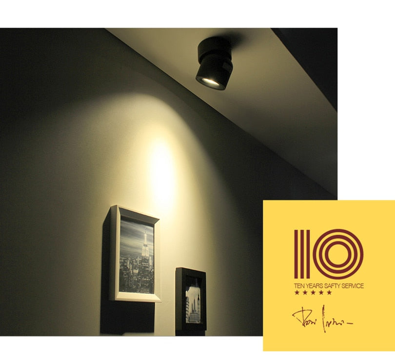 ONDENN LED Ceiling Lamps 10W 15W COB LED Spot Light Downlights Adjustable Surface Mounted Background Foyer Bedroom Shops Light