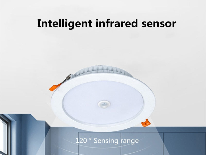 Sound Infrared control LED Downlight 220V White /Warm White 3W 5W 7W 9W 18W 30W 40W Recessed in LED Ceiling Downlight Light