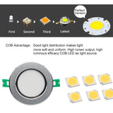 DBF Silver Housing Frosted Len LED Recessed Downlight Brighter Epistar COB LED Ceiling Spot Lamp 5W 7W 10W 12W with Transformer