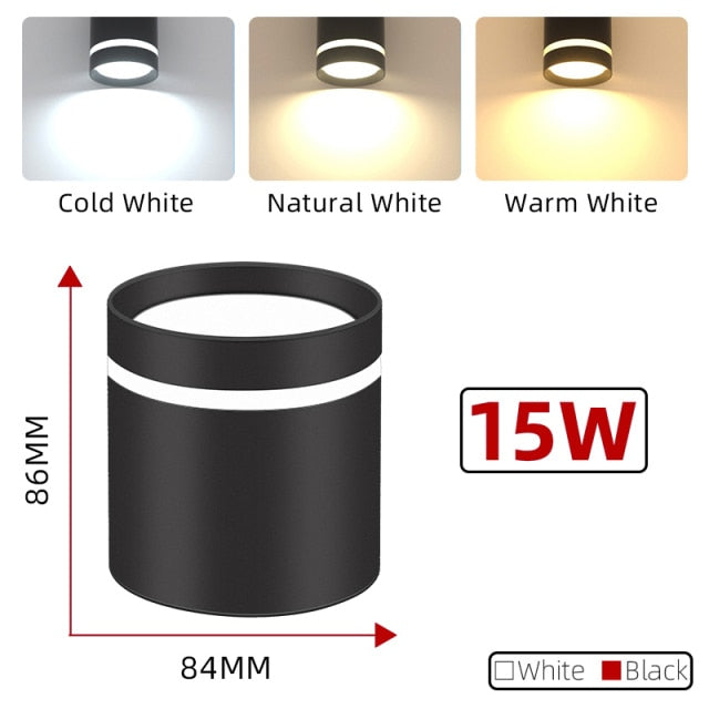 Led Down Light Spot LED Downlights 220V 5W/10/15/25W Spotlight Lights Surface Mounted Lamp for Indoor Lighting Kitchen Ceiling