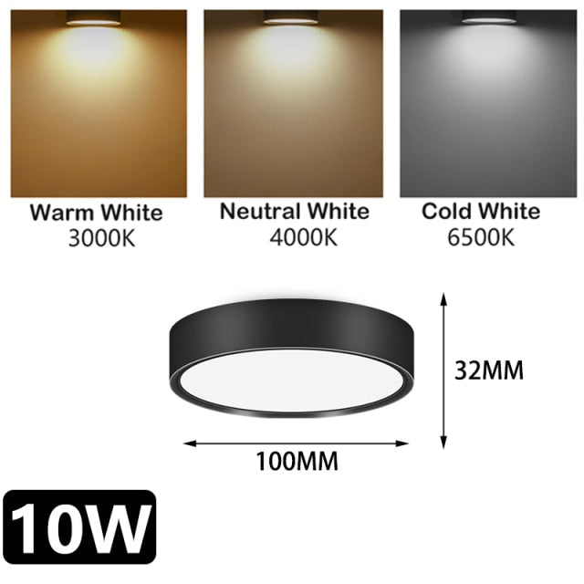 Led Down Light Spot LED Downlights 220V 5W/10/15/25W Spotlight Lights Surface Mounted Lamp for Indoor Lighting Kitchen Ceiling