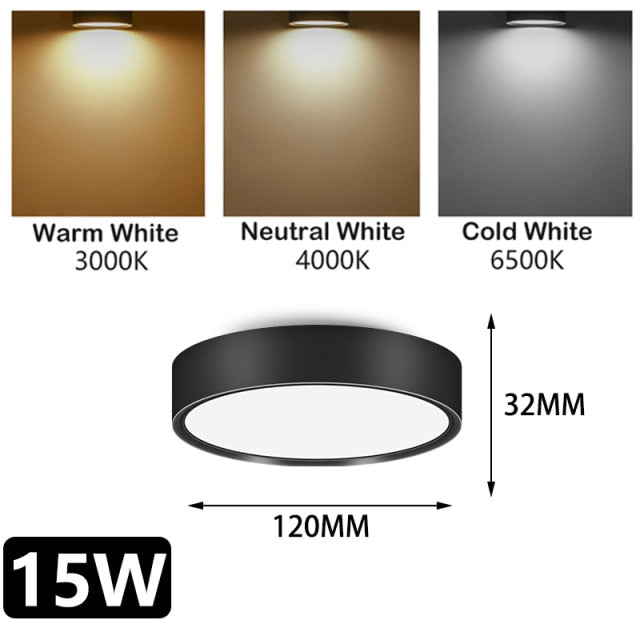 Led Down Light Spot LED Downlights 220V 5W/10/15/25W Spotlight Lights Surface Mounted Lamp for Indoor Lighting Kitchen Ceiling