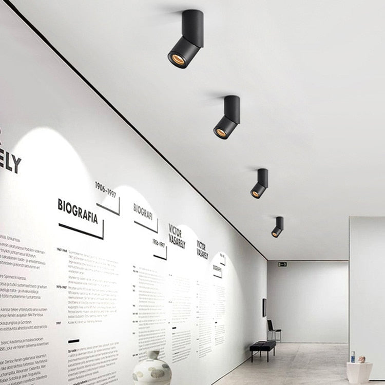 Dimmable Rotating LED Downlights 7W 9W 12W 15W COB LED Ceiling Spot Lights AC110-220V LED Wall Lamp Warm Cold White Indoor Lighting