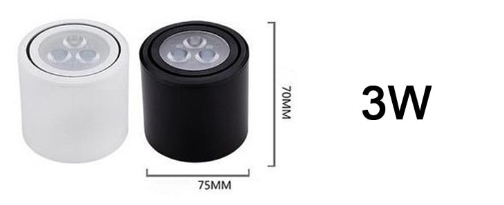 Dimmable LED Ceiling lamp Surface mounted 3W 5W 7W 9W 12W Led downlights Spot Light Rotation Kitchen Downlights Lighting