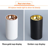 2 Colors Surface Mounted LED Downlight COB Spotlight Anti Glare Ceiling Lamp