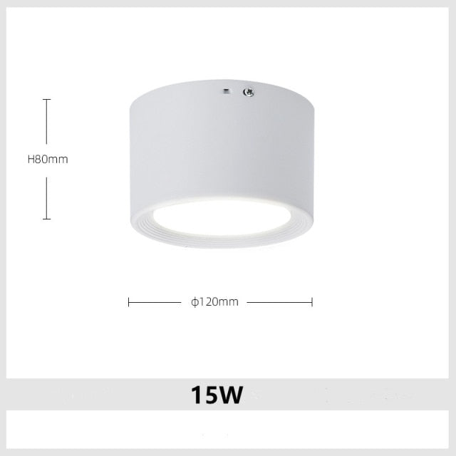 Dimmable Round LED Downlight SMD 5730 7W 9W 15W 18W 24W 30W AC85-265V White Ceiling Spot Lamp Living Room and Bedroom Lighting