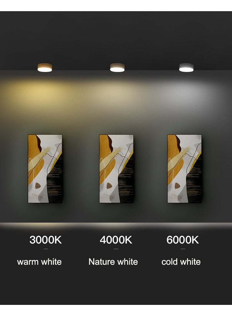 Led Downlights Surface Mounted Light Lamp 220V 5W 7W 9W 12W 15W 18W Ceiling Spot Fixture for Home