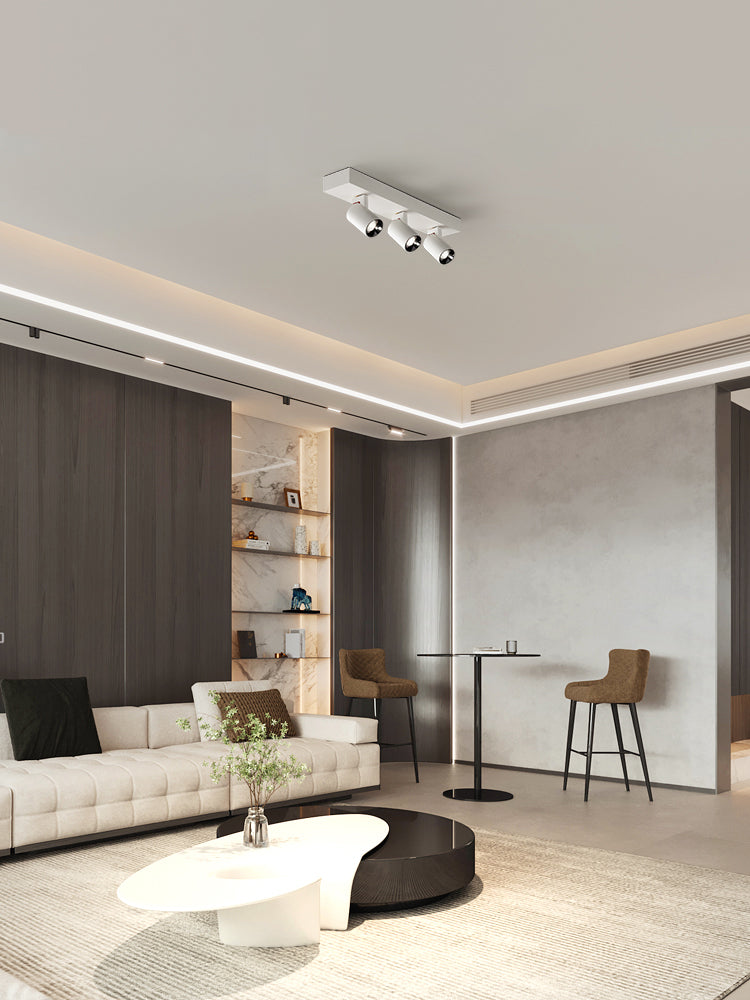 BRGT LED Spot Lights Surface Mounted 12W Ceiling Lamp Downlight Focos Rotatable Light For Kitchen Living Room Indoor Lighting