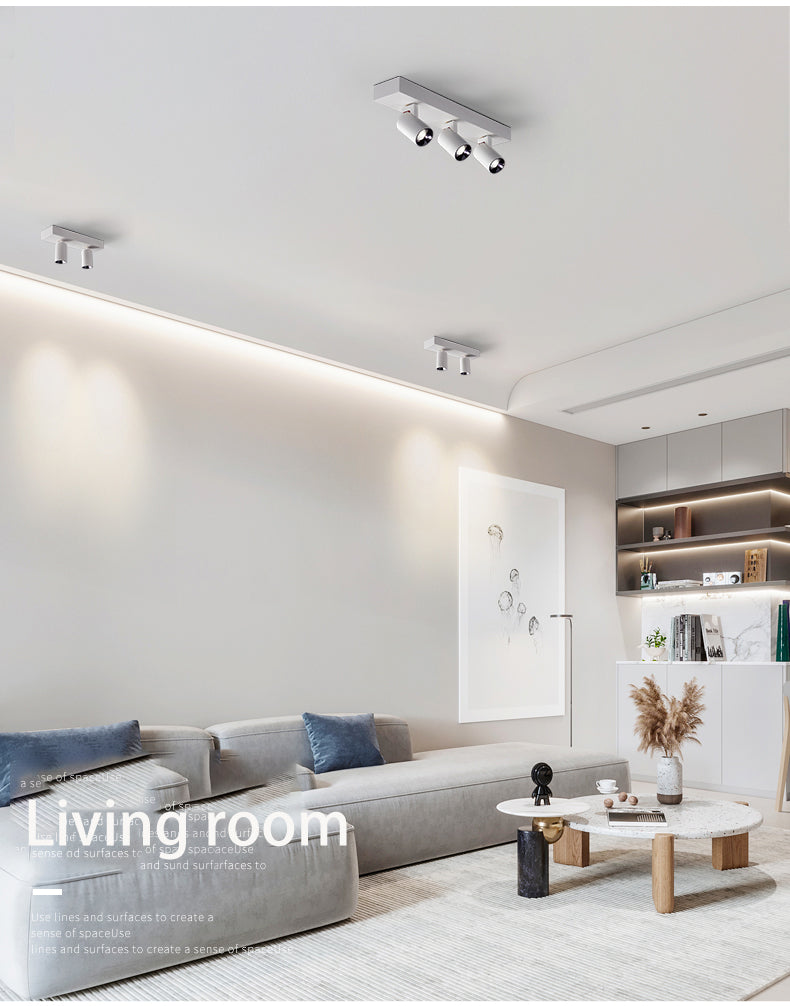 BRGT LED Spot Lights Surface Mounted 12W Ceiling Lamp Downlight Focos Rotatable Light For Kitchen Living Room Indoor Lighting