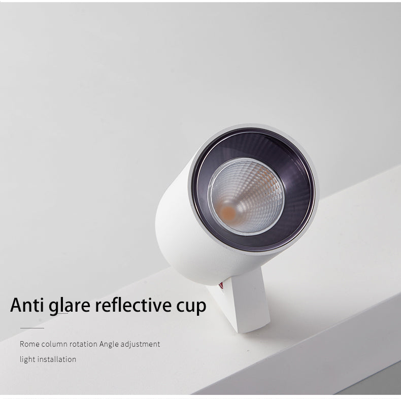 BRGT LED Spot Lights Surface Mounted 12W Ceiling Lamp Downlight Focos Rotatable Light For Kitchen Living Room Indoor Lighting