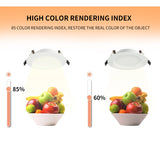 RGB W/WW Downlight Led 10W/20W Ceiling Decorative Downlight Living Room Background Wall Downlight RGB Remote Control Downlight