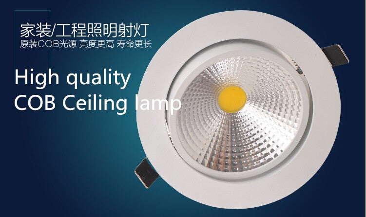 Dimmable 9W 15W 20W COB LED Downlights Tiltable Fixture Recessed Ceiling Downlights Lamp Spotlight AC110V/AC220V