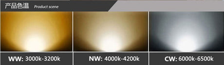 Dimmable 9W 15W 20W COB LED Downlights Tiltable Fixture Recessed Ceiling Downlights Lamp Spotlight AC110V/AC220V