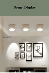 Led Surface Mounted Ceiling Downlight Dimmable Led Ceiling Light 5W 12W 15W Dimmable Spot Led Indoor Lighting For Living Room