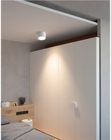 Led Surface Mounted Ceiling Downlight Dimmable Led Ceiling Light 5W 12W 15W Dimmable Spot Led Indoor Lighting For Living Room