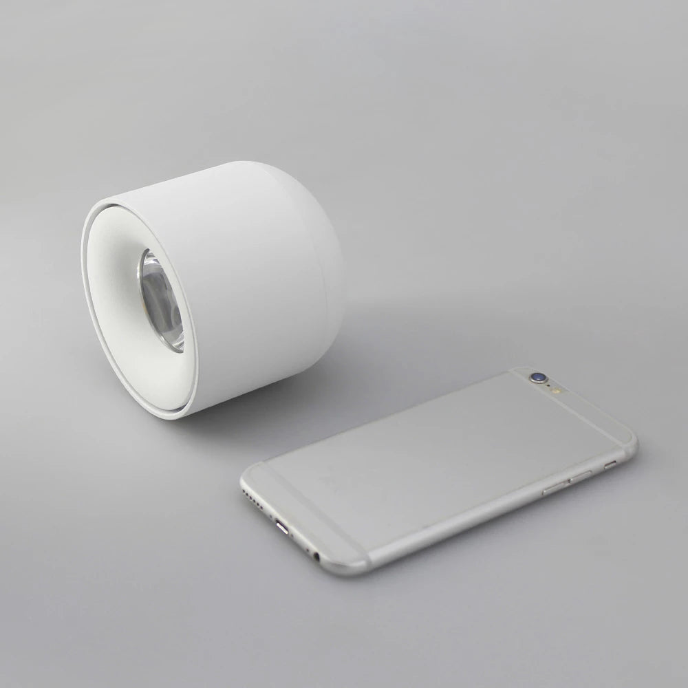 Surface Mounted Ceiling Downlight Ceiling Fixtures COB Led Spot Light For Living Room Bedroom Bathroom Corridor Decoration Light