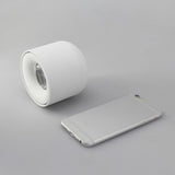 Surface Mounted Ceiling Downlight Ceiling Fixtures COB Led Spot Light For Living Room Bedroom Bathroom Corridor Decoration Light