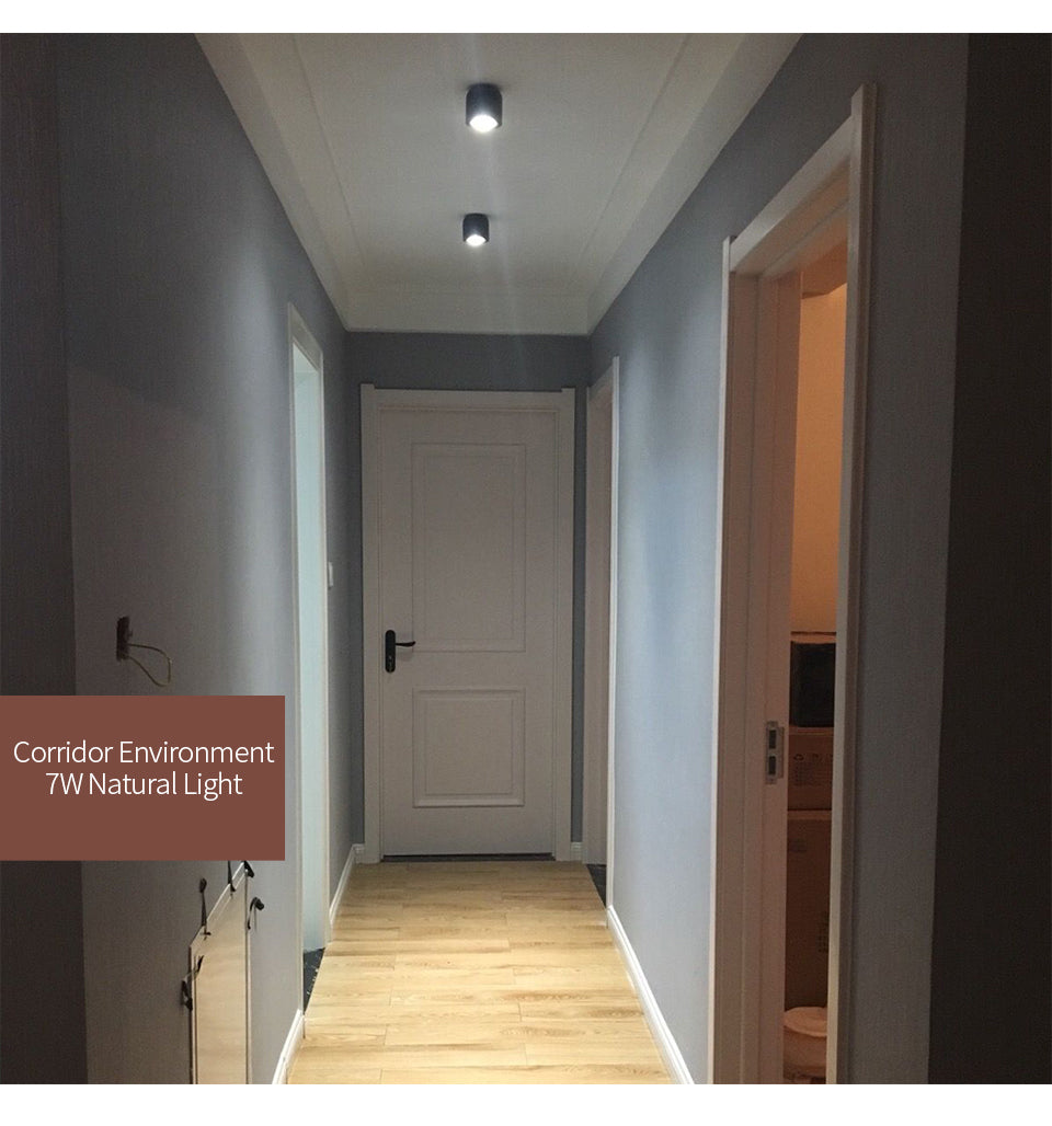 Surface Mounted Ceiling Downlight Ceiling Fixtures COB Led Spot Light For Living Room Bedroom Bathroom Corridor Decoration Light