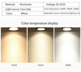 BRGT LED Spot Lights Recessed Downlight Aluminum Ceiling 5W 7W 12W 20W Cut Size 75mm Focus Lamp 110V 220V For Kitchen Home Indoor Lighting